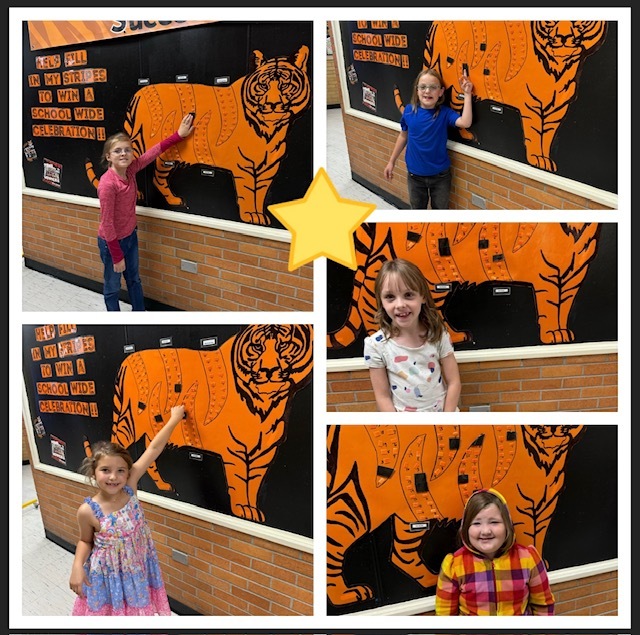 PBIS REWARD PAWS